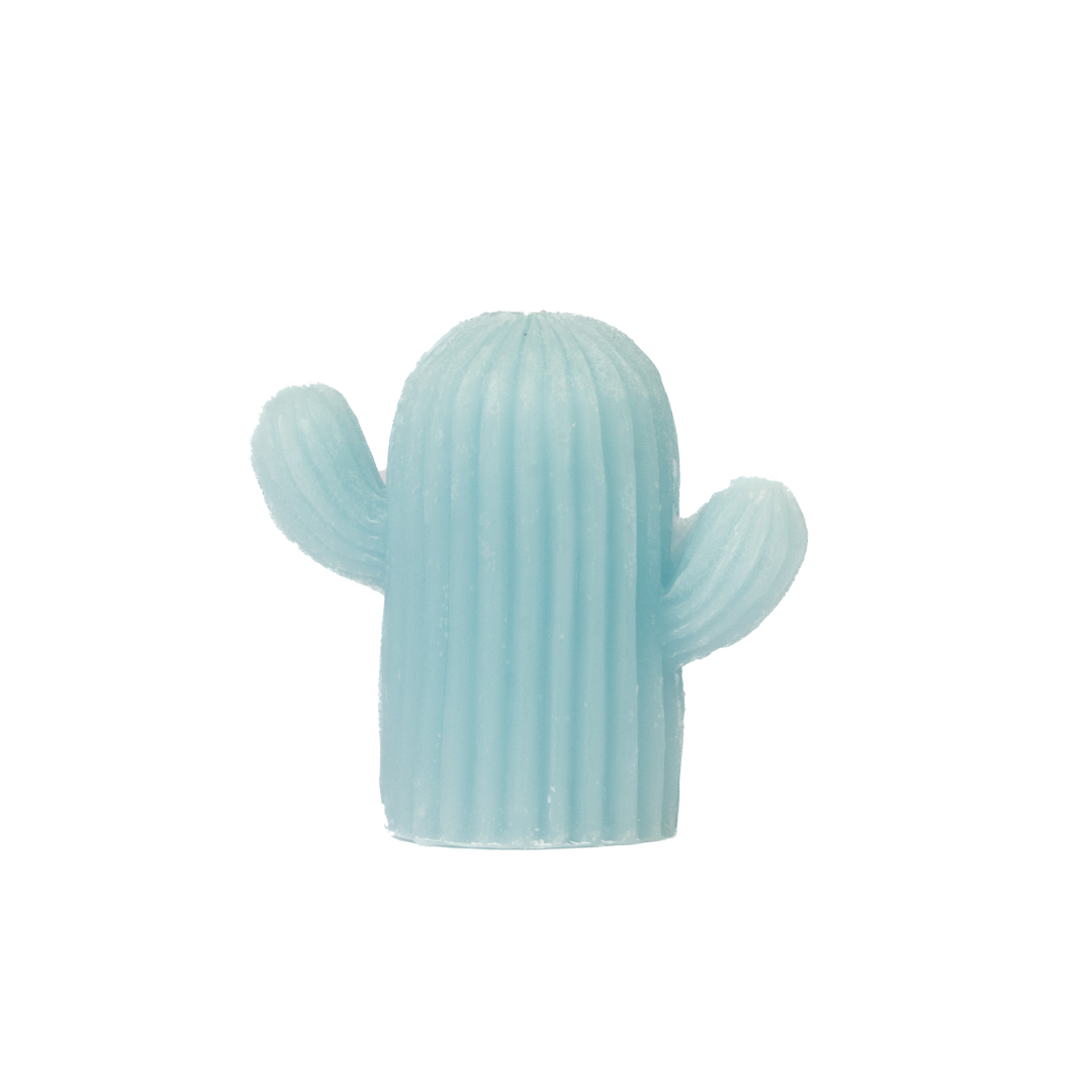 CACTUS AROMA CANDLE