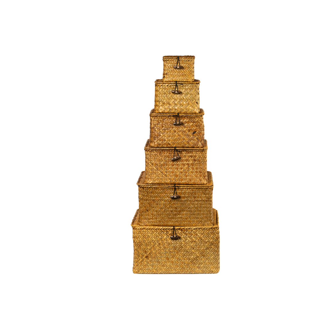 Woven Rattan Flap Storage Box