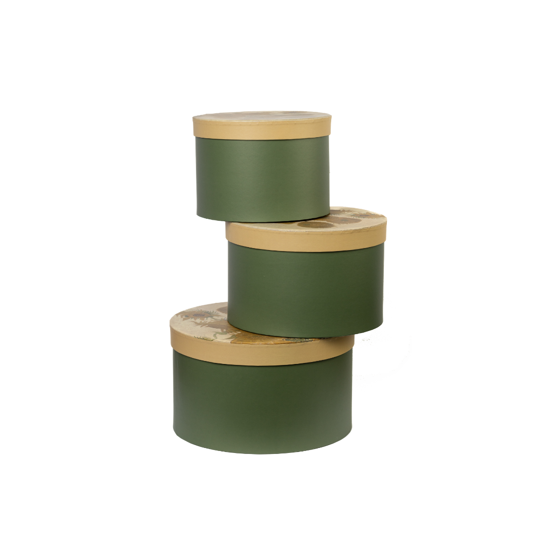 Green Van gogh Sunflower rigid box